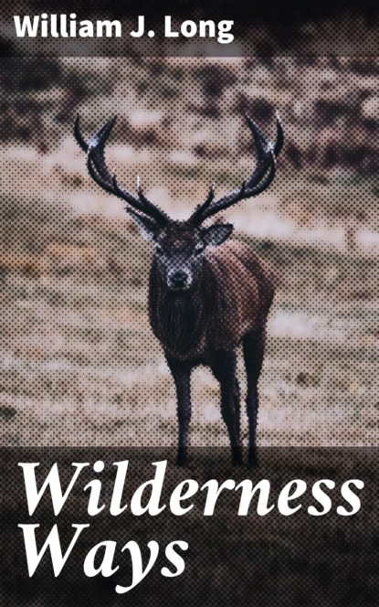 William J. Long - Wilderness Ways
