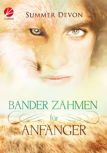 

Bander zähmen für Anfänger
