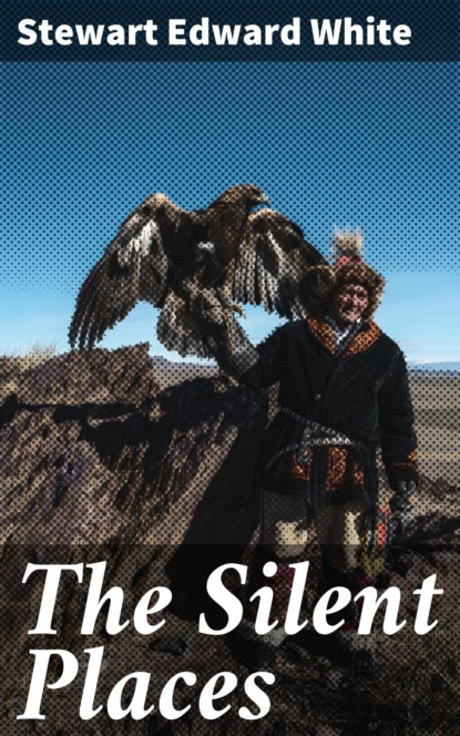 Stewart Edward White - The Silent Places
