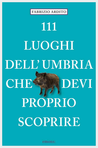 111 Luoghi dell'Umbria che devi proprio scoprire (Fabrizio Ardito). 