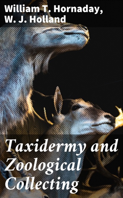 W. J. Holland - Taxidermy and Zoological Collecting