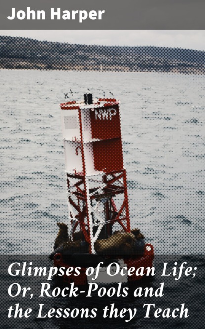 

Glimpses of Ocean Life; Or, Rock-Pools and the Lessons they Teach