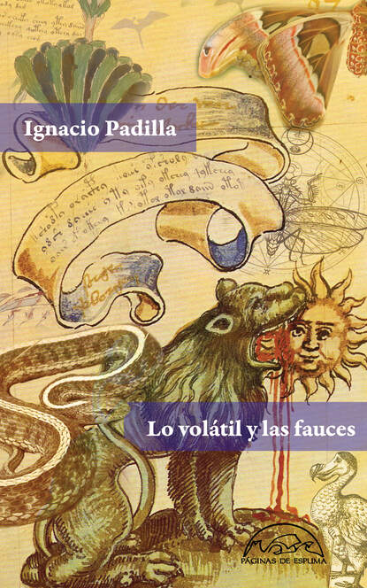 Ignacio Padilla - Lo volátil y las fauces