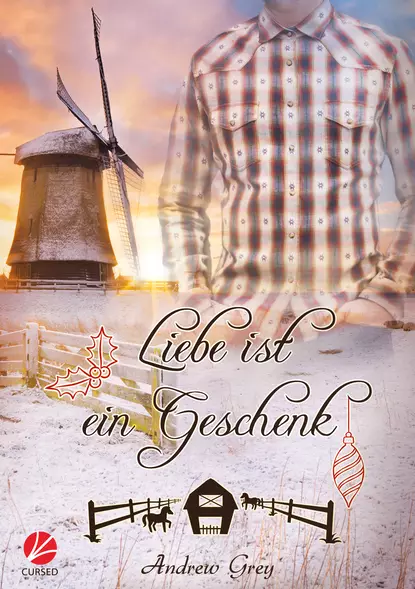 Обложка книги Liebe ist ein Geschenk, Andrew Grey