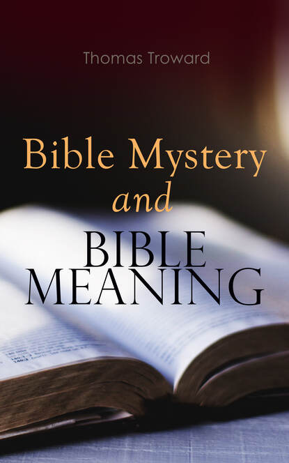 

Bible Mystery and Bible Meaning