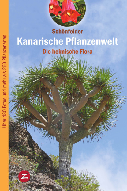Peter Schönfelder - Kanarische Pflanzenwelt