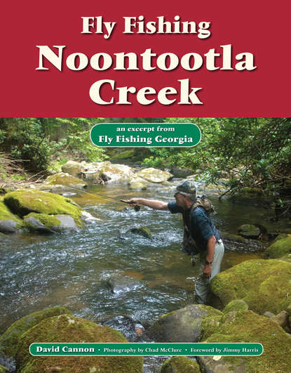 David Cannon L. - Fly Fishing Noontootla Creek