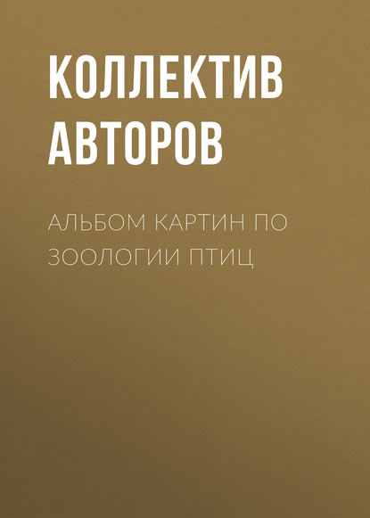 Коллектив авторов — Альбом картин по зоологии птиц