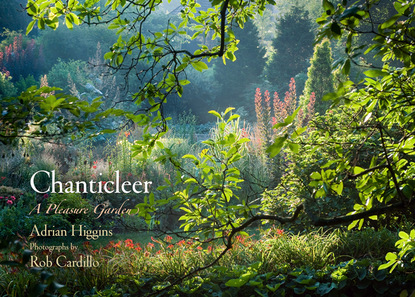 

Chanticleer