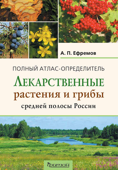 А. П. Ефремов - Лекарственные растения и грибы средней полосы России