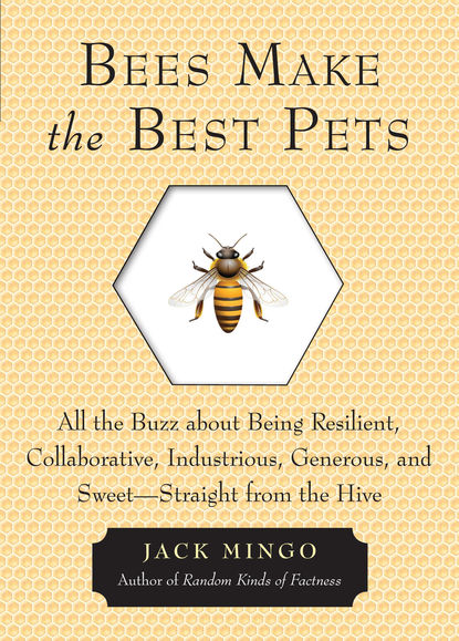 Jack Mingo — Bees Make the Best Pets