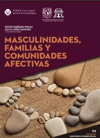 Обложка книги Masculinidades, familias y comunidades afectivas, María del Rocío Enríquez Rosas