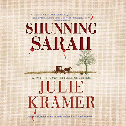 Julie Kramer — Shunning Sarah - Riley Spartz, Book 5 (Unabridged)