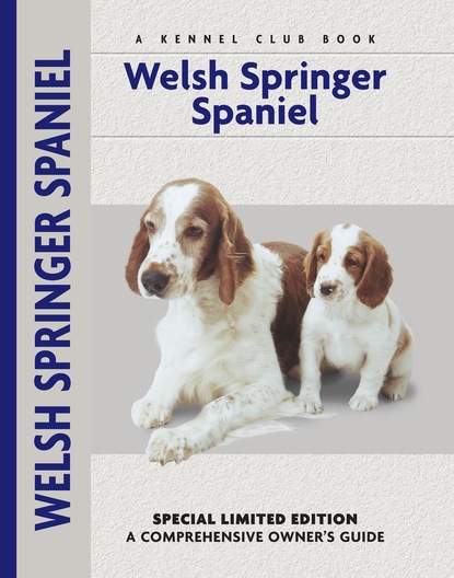 Haja Van Wessem - Welsh Springer Spaniel