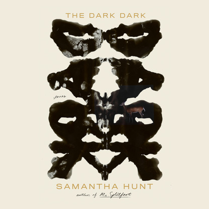 The Dark Dark - Stories (Unabridged) - Samantha Hunt