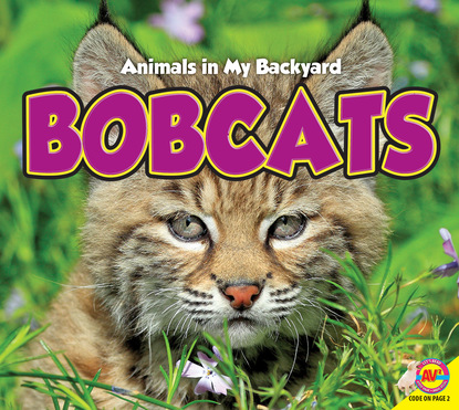 

Bobcats