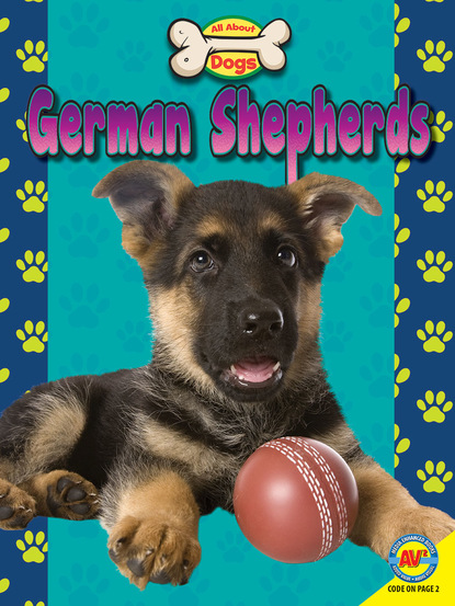 

German Shepherds