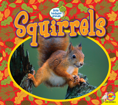 

Squirrels