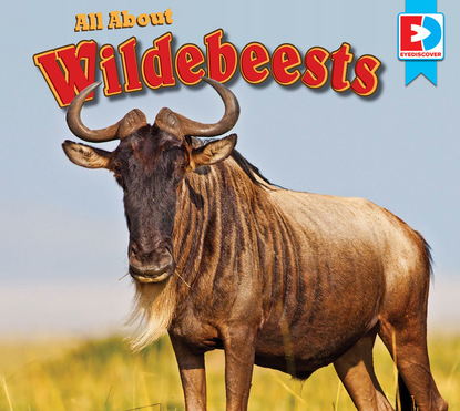 

All About Wildebeests