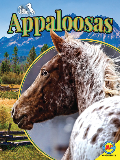 

Appaloosas