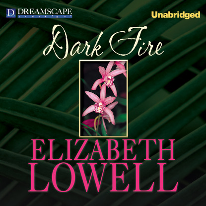 Dark Fire - McCalls, Book 2 (Unabridged) - Elizabeth  Lowell