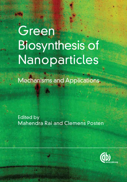 

Green Biosynthesis of Nanoparticles