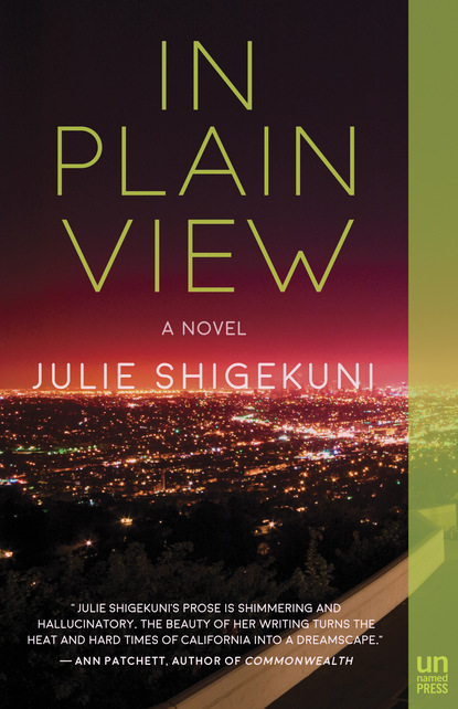 Julie Shigekuni — In Plain View