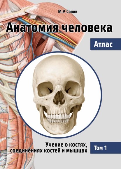 М. Р. Сапин — Анатомия человека. Атлас. Том 1. Учение о костях, соединениях костей и мышцах