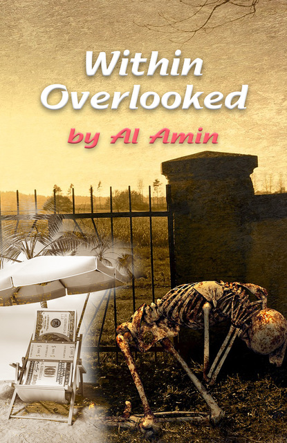 Al Amin - Within Overlooked