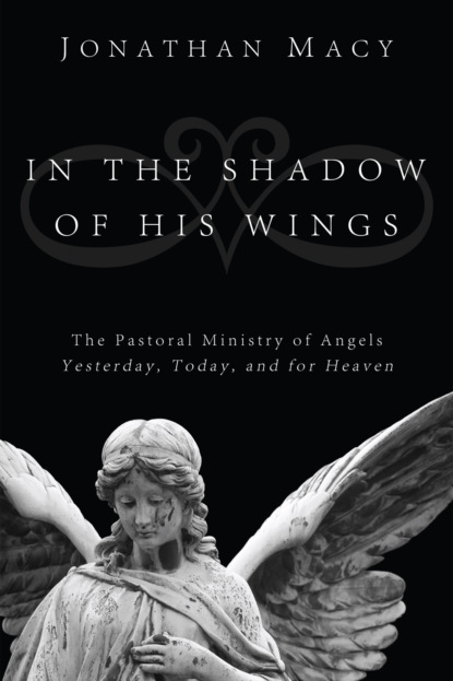 Jonathan Macy - In the Shadow of His Wings