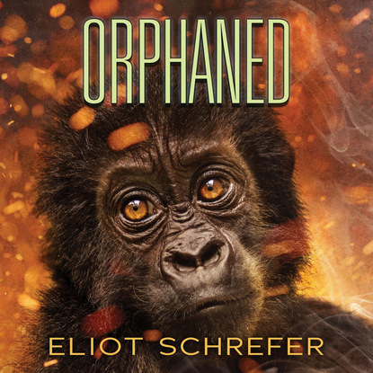 Eliot Schrefer — Orphaned - Ape Quartet 4 (Unabridged)