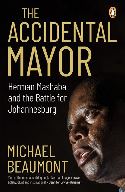 Michael Beaumont - The Accidental Mayor