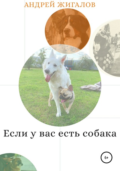 

Если у вас есть собака