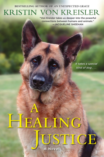 

A Healing Justice