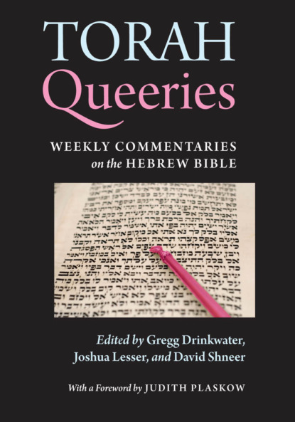 

Torah Queeries