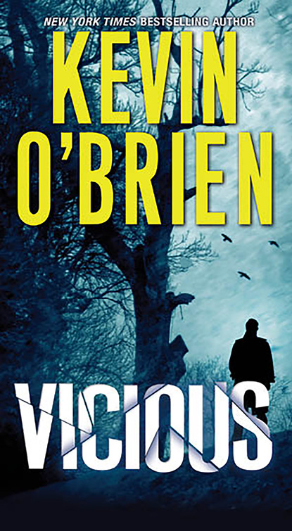 Kevin  O'Brien - Vicious