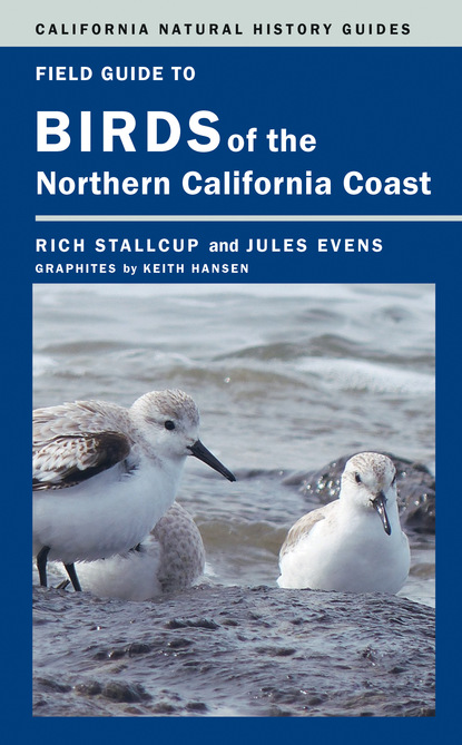 Rich Stallcup - Field Guide to Birds of the Northern California Coast