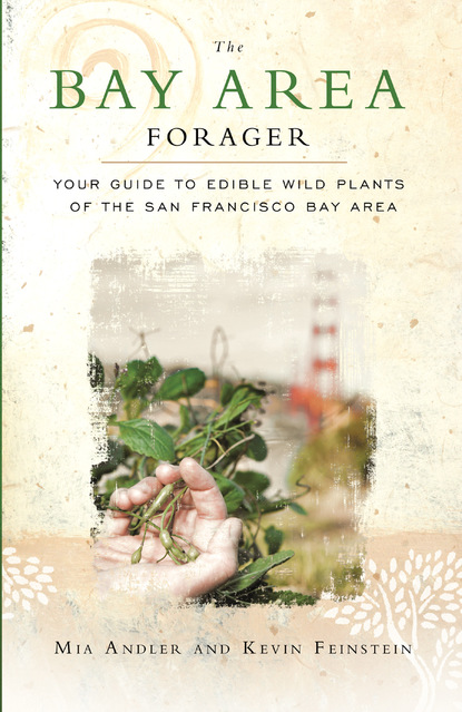 Mia Andler - The Bay Area Forager