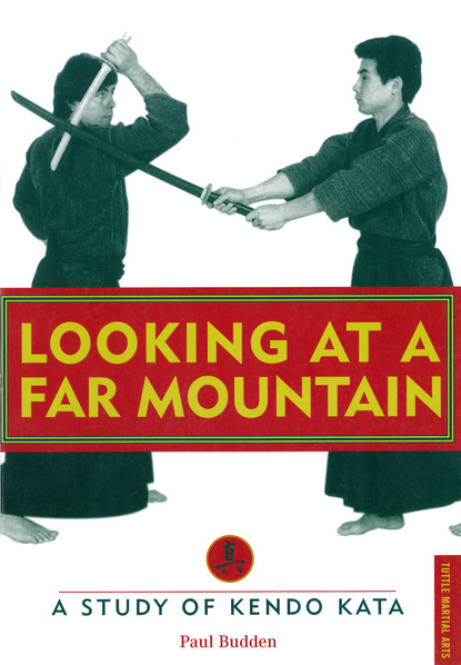 Paul Budden — Looking at a Far Mountain