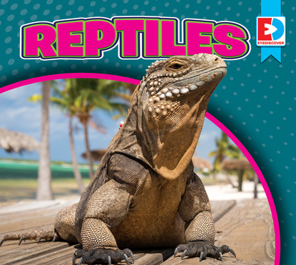 

Reptiles