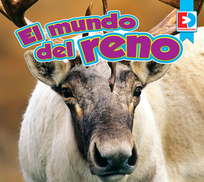 

El mundo del reno