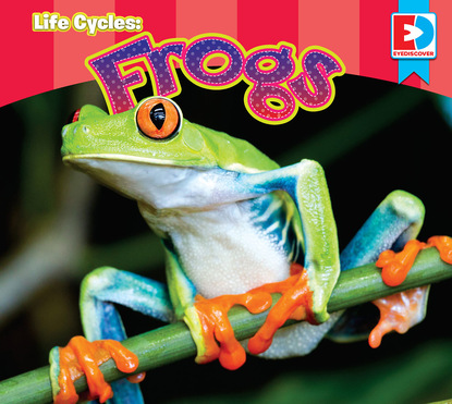

Life Cycles: Frogs