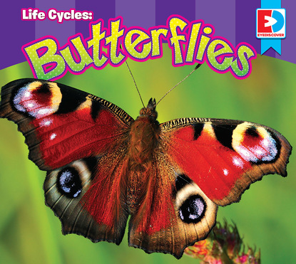 

Life Cycles: Butterflies