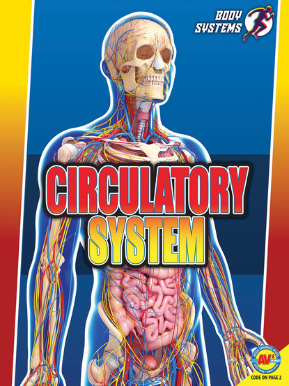 

Circulatory System