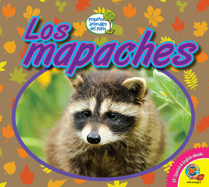 

Los mapaches