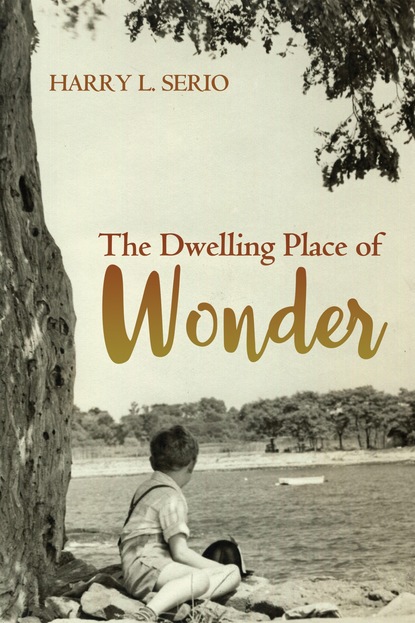 

The Dwelling Place of Wonder