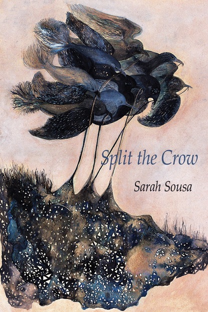 Sarah Sousa - Split the Crow