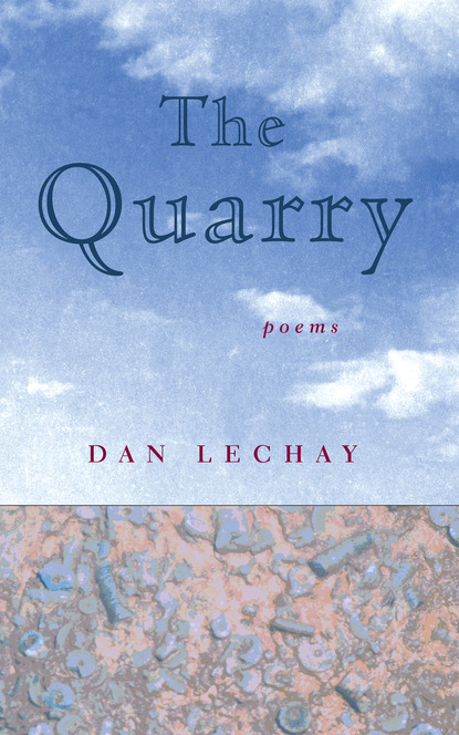 Dan Lechay - The Quarry