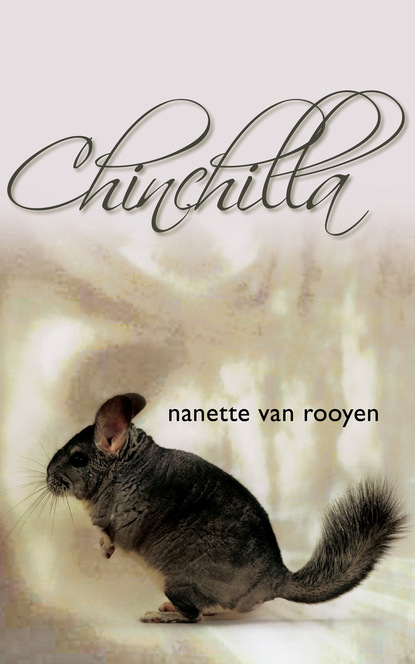 Nanette van Rooyen - Chinchilla