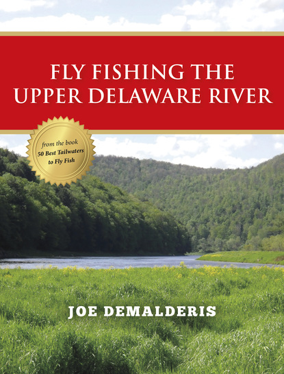 Joe Demalderis - Fly Fishing the Upper Delaware River